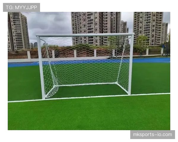 球门尺寸标准：宽度7.32米高度2.44米，这是足球规则规定的正式比赛球门规格