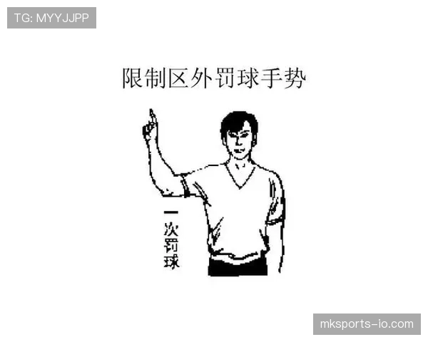 裁判手势判罚含义与应用场景一览